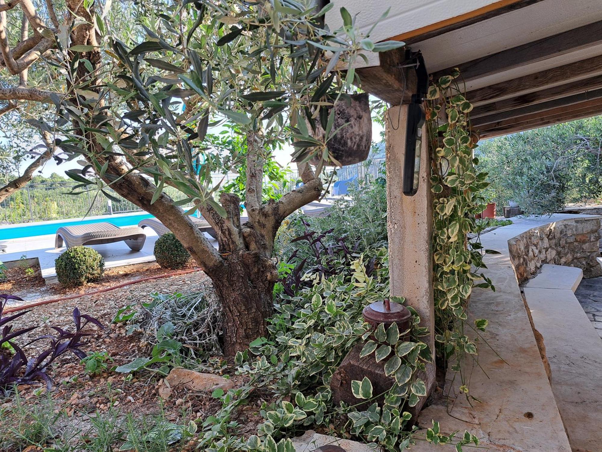 Villa Casa Mia Gornji Seget 外观 照片